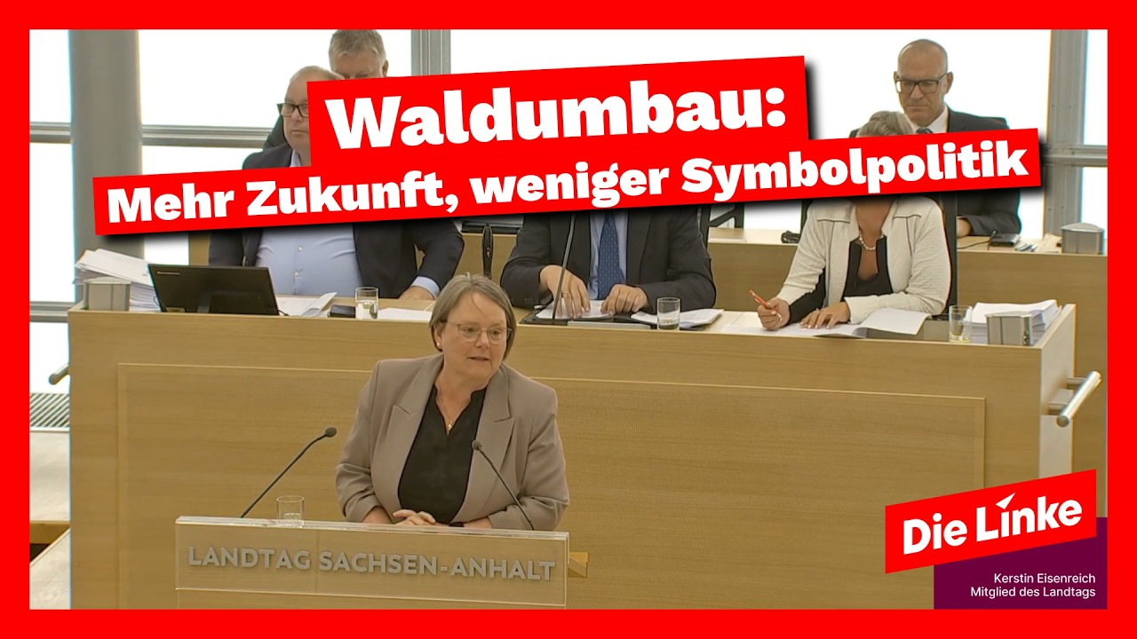 Kerstin Eisenreich: Waldumbau: Mehr Zukunft, weniger Symbolpolitik