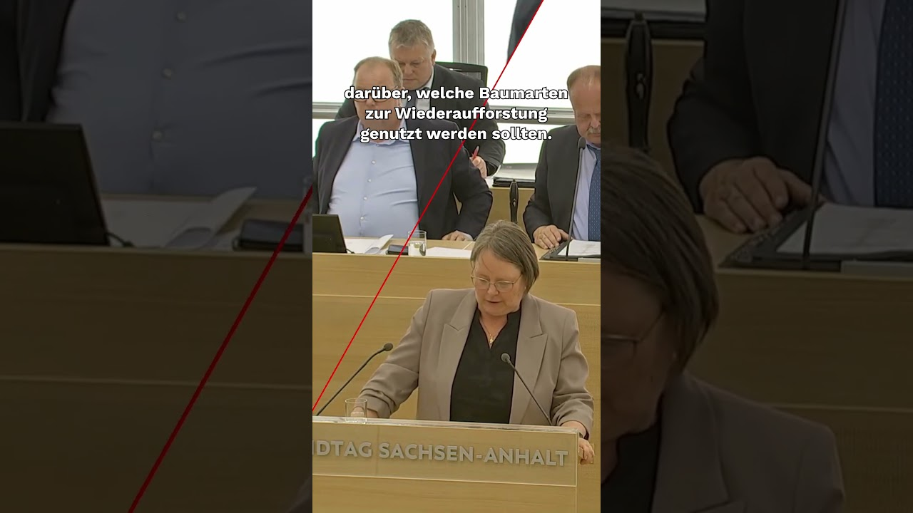 Waldumbau: Mehr Zukunft, weniger Symbolpolitik #shorts #dielinke #wald